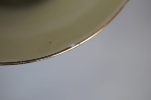 DSC00422.JPG