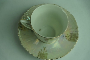 DSC03504.JPG