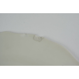 39848 BOHEMIA SECESJA RĘCZNIE MALOWANA PATERKADostępność 2 szt (6).jpg