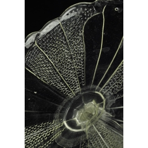 40273 KROSNO BEZBARWNA PATERA NA NODZE (2).jpg