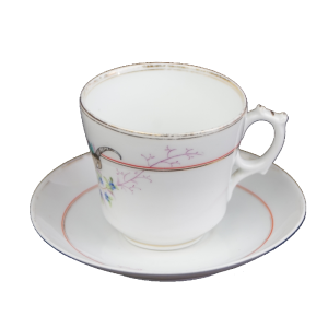 32529 FRAUREUTH BIEDERMEIER RĘCZNIE MALOWANA FILIŻANKA ZE SPODKIEM.png