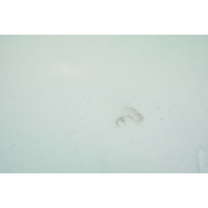 62651 MAJOLIKA STARY TALERZ KWIATY RÓŻ I RELIEFY (6).jpg