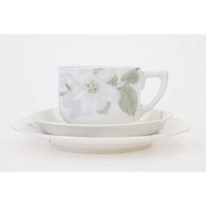 69398 ROSENTHAL ISOLDEELSE POMONA ŚNIADANIÓWKA KWITNĄCA JABŁOŃ (2).JPG