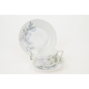 69398 ROSENTHAL ISOLDEELSE POMONA ŚNIADANIÓWKA KWITNĄCA JABŁOŃ (4).JPG