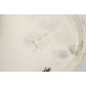 70047 STARA CERAMICZNA FILIŻANKA ZE SPODKIEM ŻÓŁTY KWIAT (5).JPG