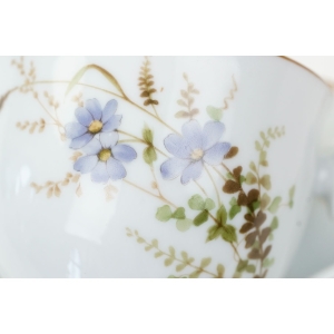 71018 NORITAKE IRELAND EDENDERRY FILIŻANKA NA STÓPCE ZE SPODKIEM (3).JPG