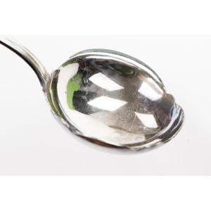 71817 WISKEMANN CHOCHLA ŁYŻKA ŚRODKA STOŁU PLATEROWANA SREBREM FASON CHIPPENDALE (3).JPG