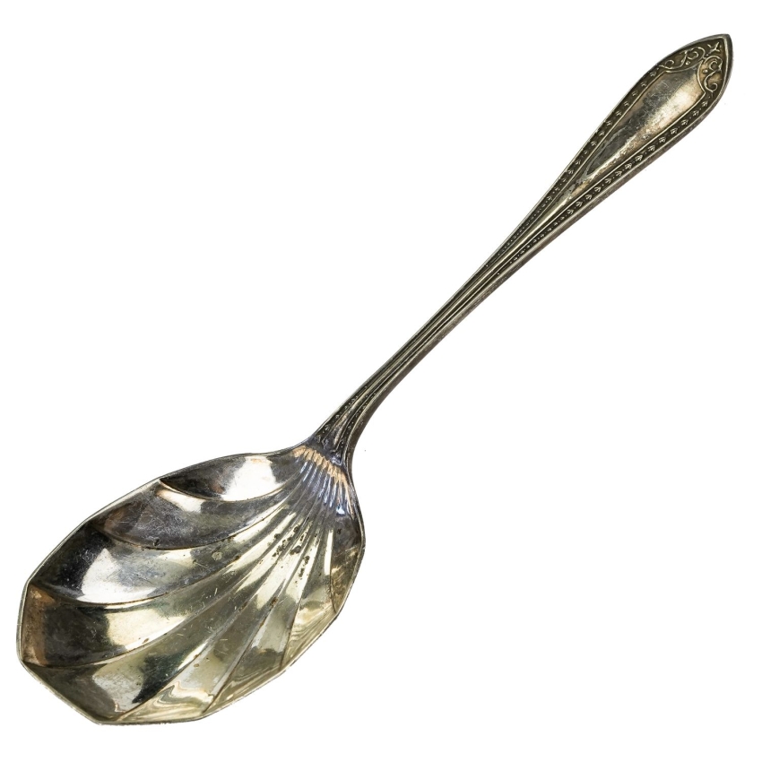 72391 EXTRA PRIMA LOTUS ZESTAW 24 SZTUĆCÓW DLA 6 OSÓB SREBRZONYCH 24 (1).jpg