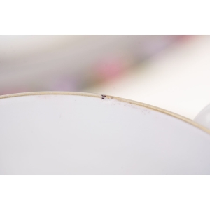 73451 ROSENTHAL BALMORAL RÓŻANA BORDIURA SERWIS DO HERBATY 6 OSÓB (11).JPG