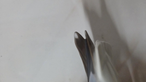 1000016622.jpg