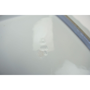 76146 FRAUREUTH SECESJA DUŻA CUDOWNA PATERA PÓŁMISEK KWIATY (5).jpg