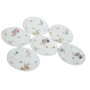 FRAUREUTH KOMPLET 6 TALERZY OBIADOWYCH PŁASKICH W KWIATY SECESJA