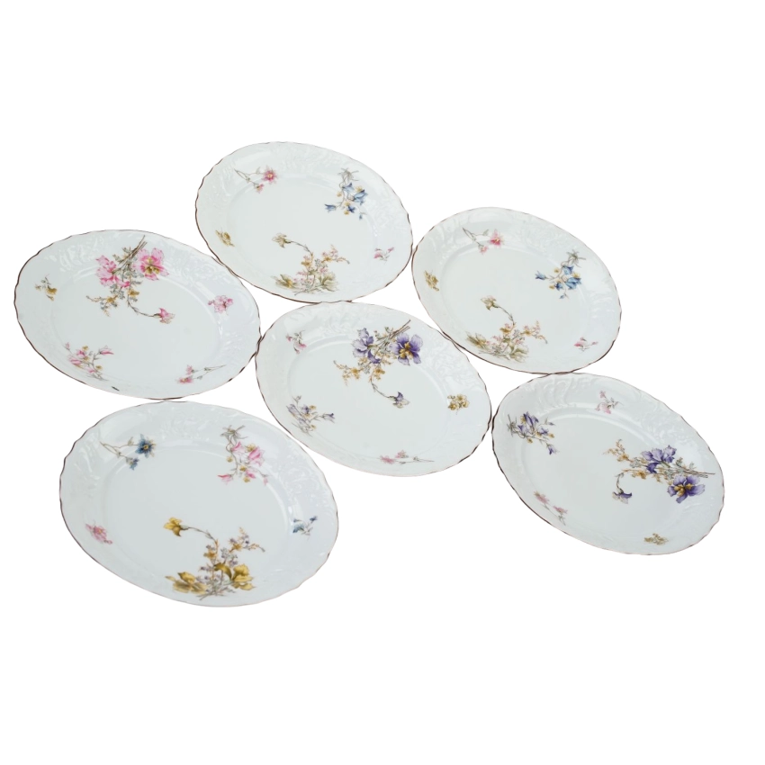 76641 FRAUREUTH KOMPLET 6 TALERZY OBIADOWYCH PŁASKICH W KWIATY SECESJA (1).png
