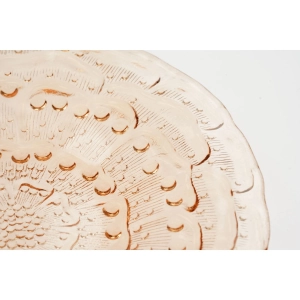 58952 ZĄBKOWICE R. SERWICKI ŁOSOSIOWA PATERA FLORA (3).JPG