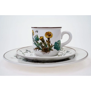 76915 VILLEROY &amp; BOCH BOTANICA ŚNIADANIÓWKA JAK Z BABCINEGO ZIELNIKA (2).jpg