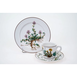 76915 VILLEROY &amp; BOCH BOTANICA ŚNIADANIÓWKA JAK Z BABCINEGO ZIELNIKA (3).jpg