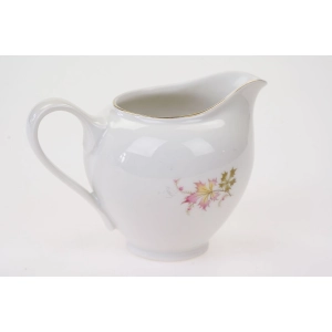 76980 SCHLOTTENHOF KOŚĆ I JESIENNE LIŚCIE MLECZNIK (3).jpg