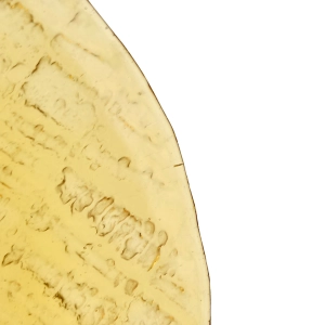 78085 ZĄBKOWICE E. TRZEWIK-DROST BURSZTYNOWA PATERA IGLOOCORT (10).jpg